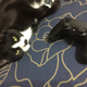 He just wants pats.